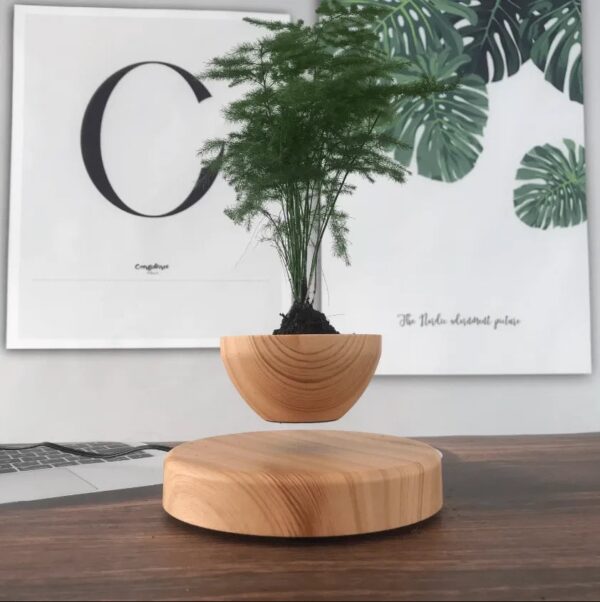 360° Rotating Magical Floating Flowerpot - Image 7