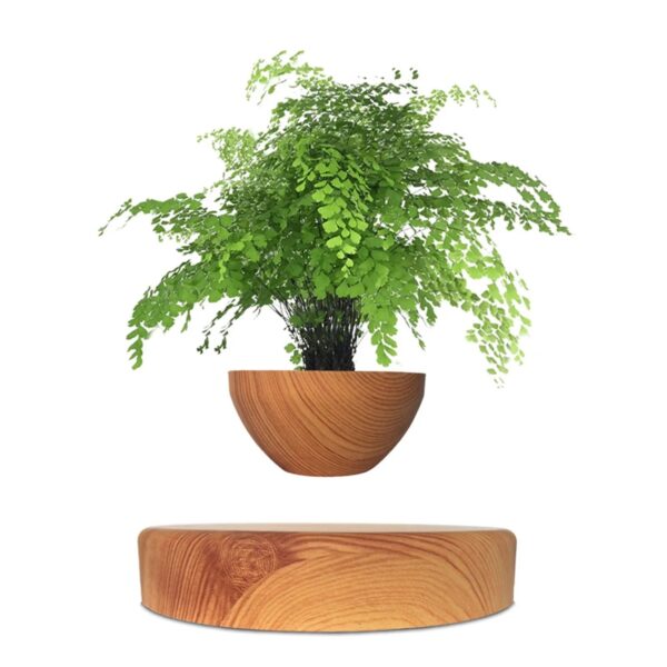 360° Rotating Magical Floating Flowerpot - Image 6